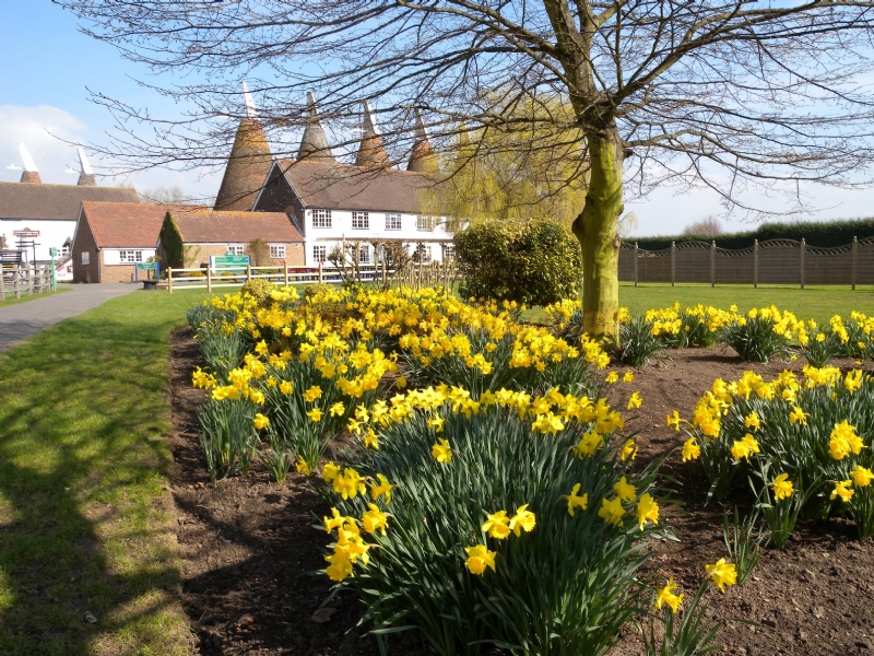 The Hop Farm Touring And Camping Park