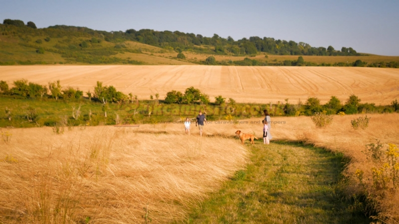 Town Farm Campsite