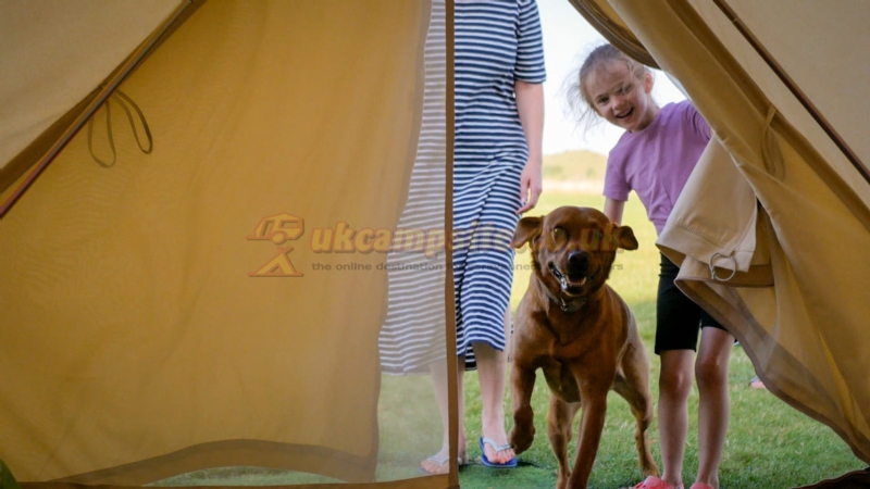 Town Farm Campsite
