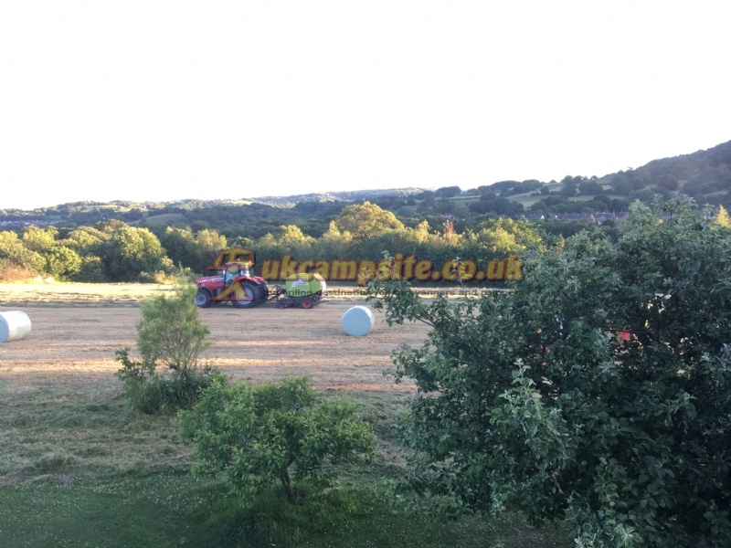 New Farm Caravan Park And Bungalow