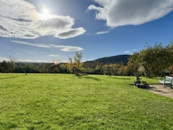 New Farm Caravan Park And Bungalow