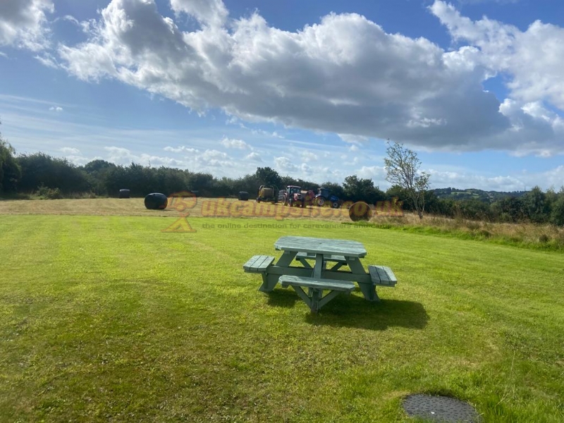 New Farm Caravan Park And Bungalow