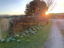 Herons Pond Caravan Park