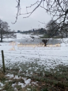 Herons Pond Caravan Park