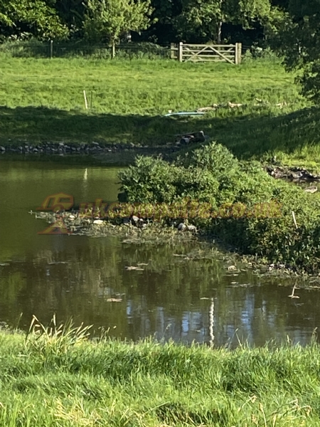 Herons Pond Caravan Park