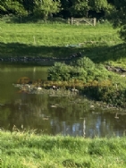 Herons Pond Caravan Park