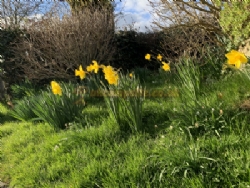 Herons Pond Caravan Park