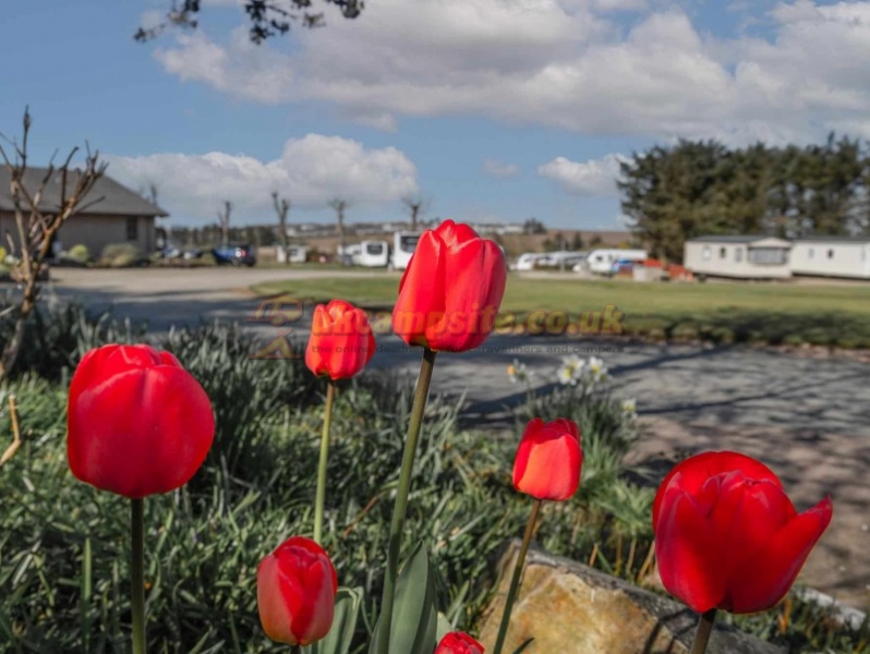Myrus Holiday Park