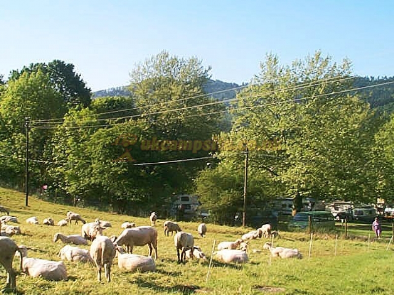 Freiburg Hirzberg Camping