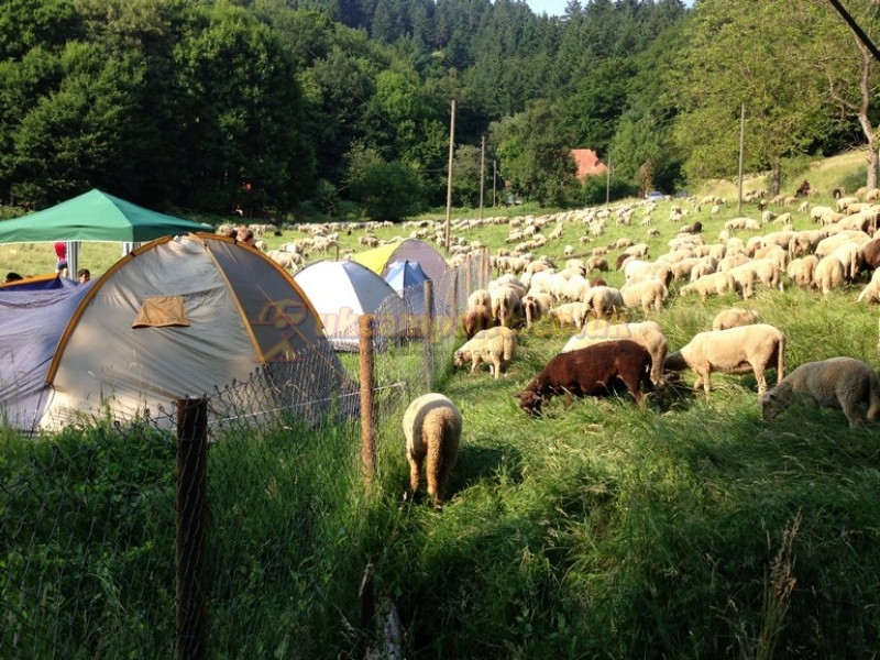 Freiburg Hirzberg Camping