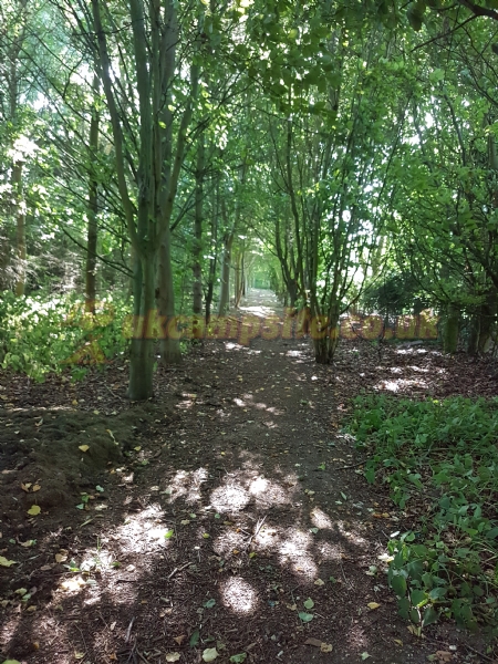 The Wold Cottage Touring Site