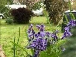 Hytten Motor Caravanners Club Certified Location