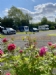 Acorn Wood Camping Caravanning Glamping Fishing
