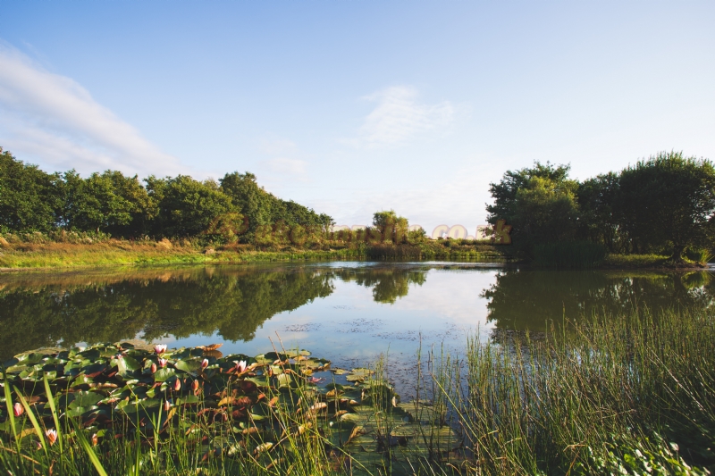 Bodowyr Caravan And Camping Park