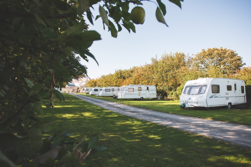 Bodowyr Caravan And Camping Park