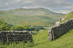 The Old Hill Inn