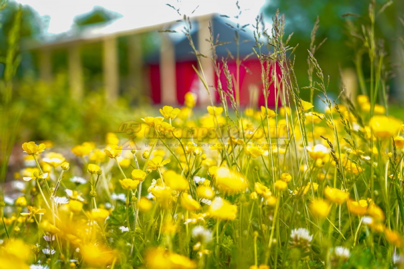 Willowbrook Glamping And Hideaways