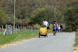 Long Meadow New Forest Campsite