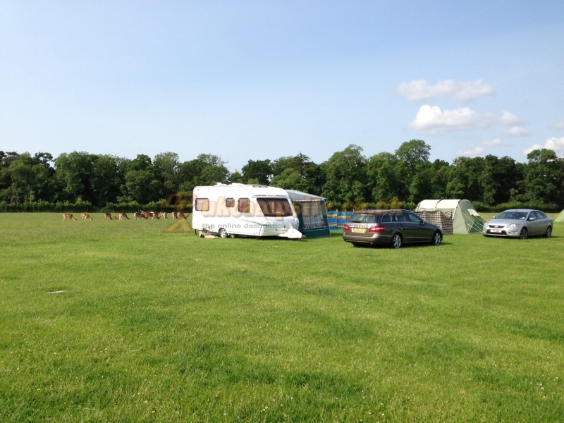 Long Meadow New Forest Campsite