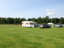 Long Meadow New Forest Campsite