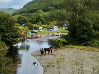 Dol Llys Farm Caravan And Camping Site