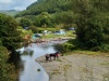 Dol Llys Farm Caravan And Camping Site
