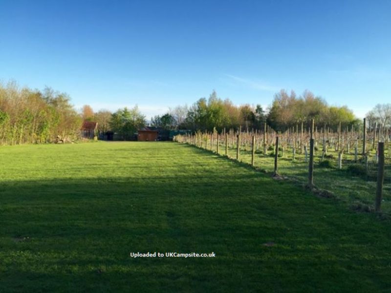 Ty Croes Farm Campsite
