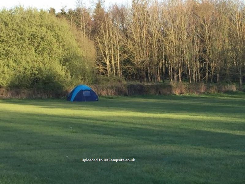 Ty Croes Farm Campsite