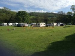 Aberbran Fach Farm