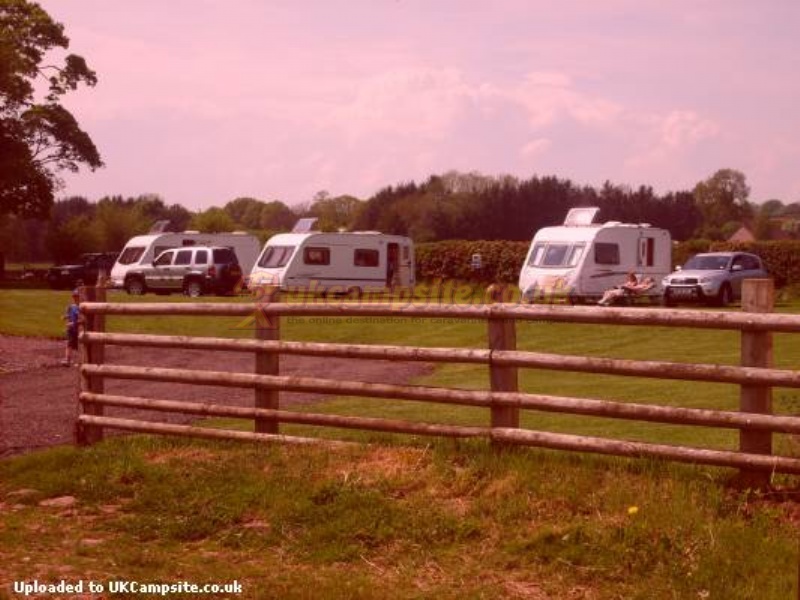 Aberbran Fach Farm