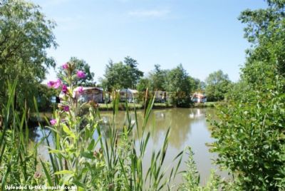 Wood Farm Camping And Caravan Site