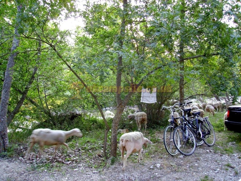 Camping La Ferme De Clareau