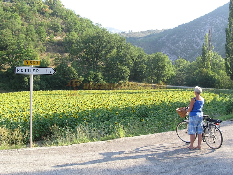 Camping La Ferme De Clareau