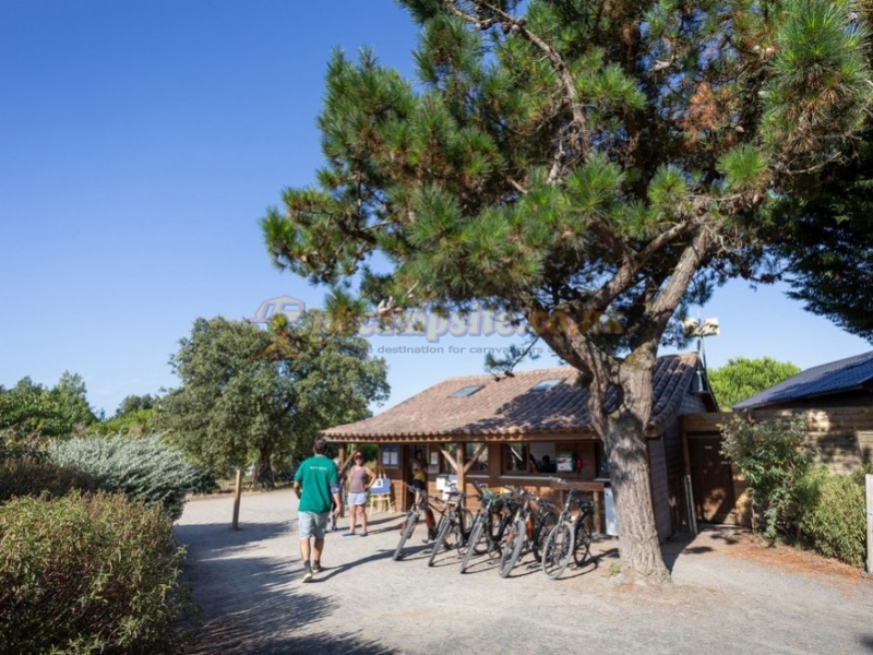 Huttopia Noirmoutier