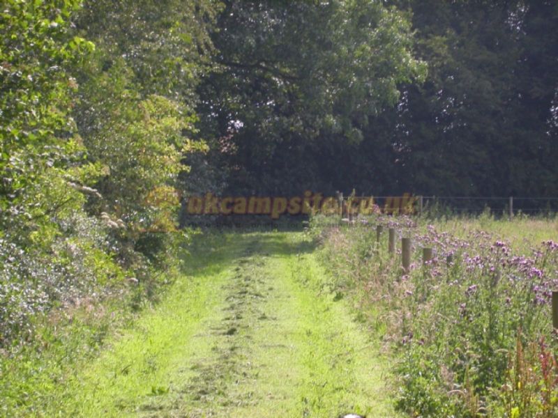 Bradfield Hall Farm Campsite