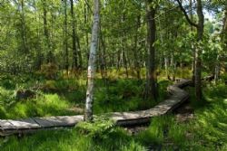 Comrie Croft