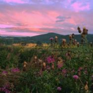 Comrie Croft