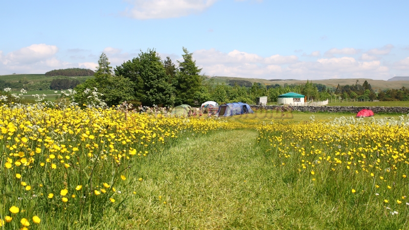 Low Greenside Farm