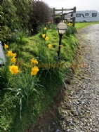 Westacott Farm Camping