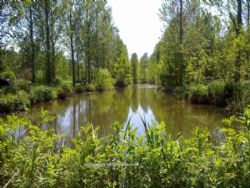 Gabriels Fishery Certificated Site