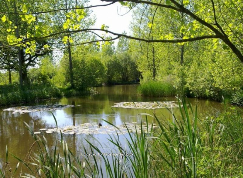 Gabriels Fishery Certificated Site