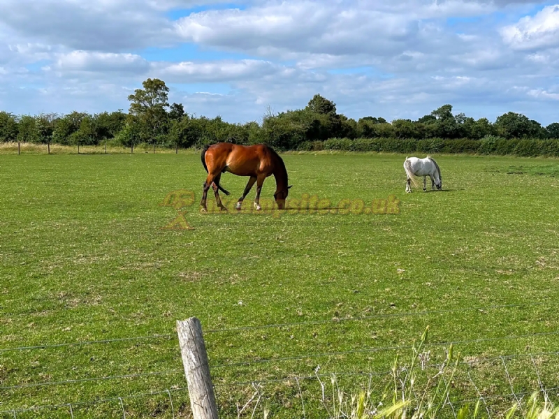 Weston Caravan And Campsite