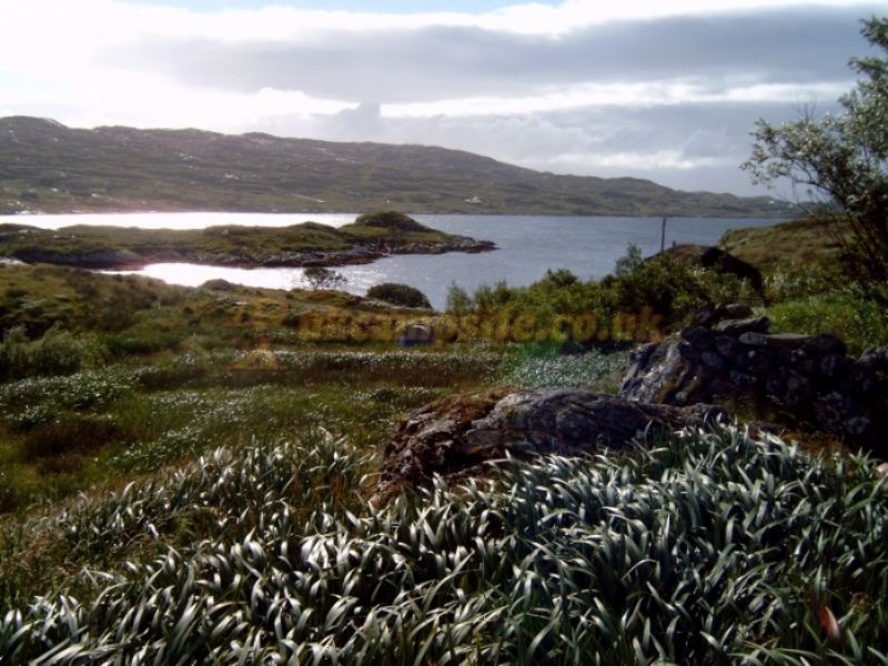 Lickisto Blackhouse Camping And Yurts