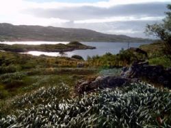 Lickisto Blackhouse Camping And Yurts