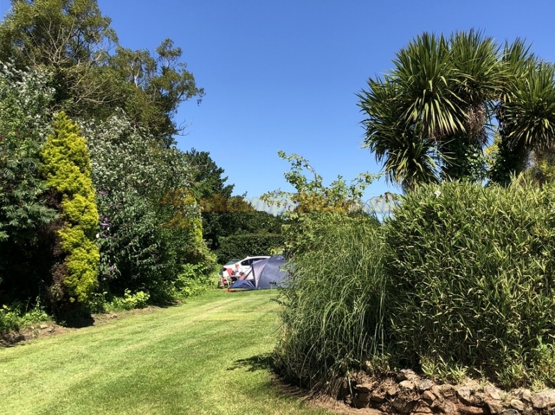 Dove Meadows Campsite