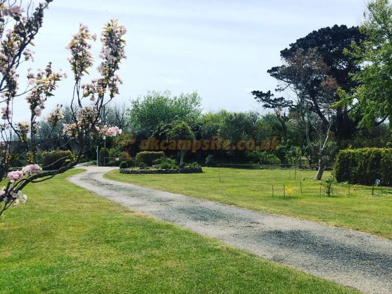 Dove Meadows Campsite