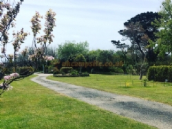 Dove Meadows Campsite