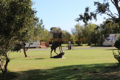 Craighead Holiday Park