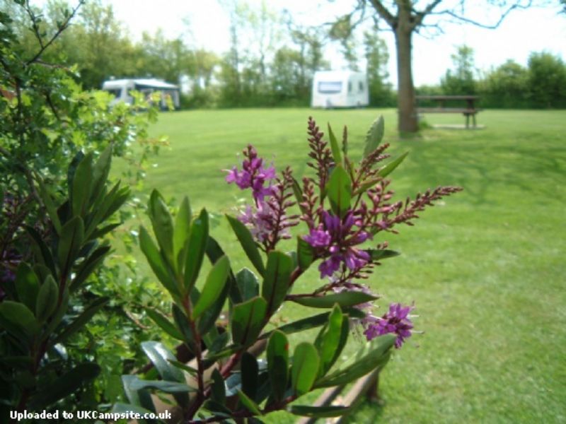 Camping La Bucaille