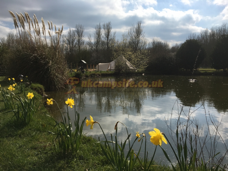 Westmoor Farm Glamping And Camping